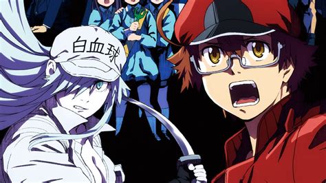Hataraku saibou 2025 To𝚛rent